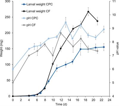 Cottonseed Press Cake as a Potential Diet for Industrially Farmed Black Soldier Fly Larvae Triggers Adaptations of Their Bacterial and Fungal Gut Microbiota